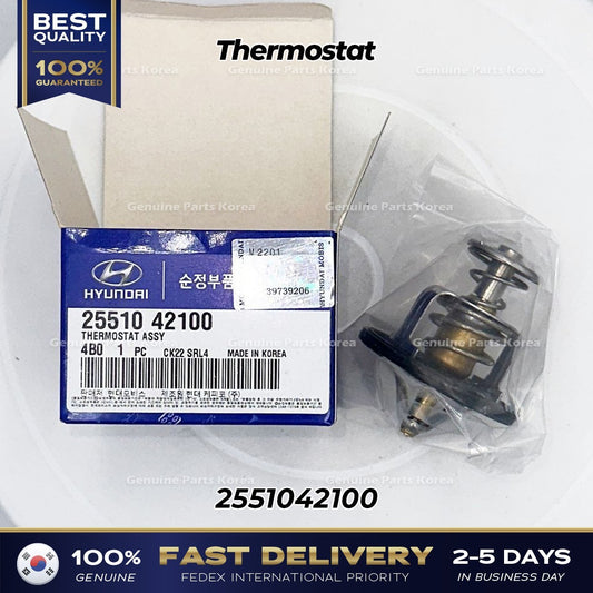 Genuine Thermostat 2551042100 for Hyundai Galloper Terracan