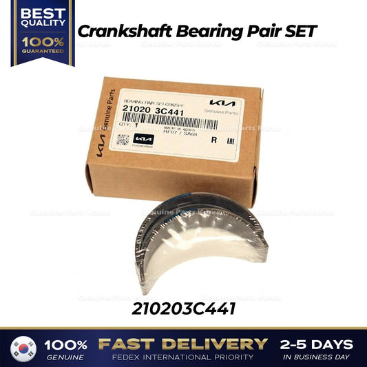 Genuine Crankshaft Bearing Pair SET 210203C441 for Hyundai Kia