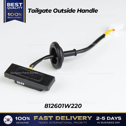 Genuine Tailgate Outside Handle 812601W220 for Kia Rio