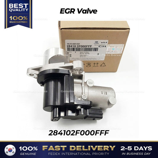 Genuine EGR Valve 284102F000FFF for Hyundai Tucson Kia Sportage