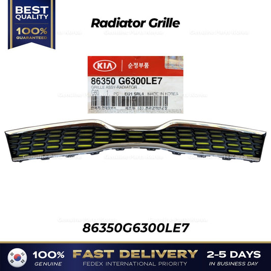 Genuine Radiator Grille 86350G6300LE7 for Kia Picanto