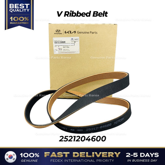 Genuine V Ribbed Belt 2521204600 for Hyundai Casper Kia Picanto
