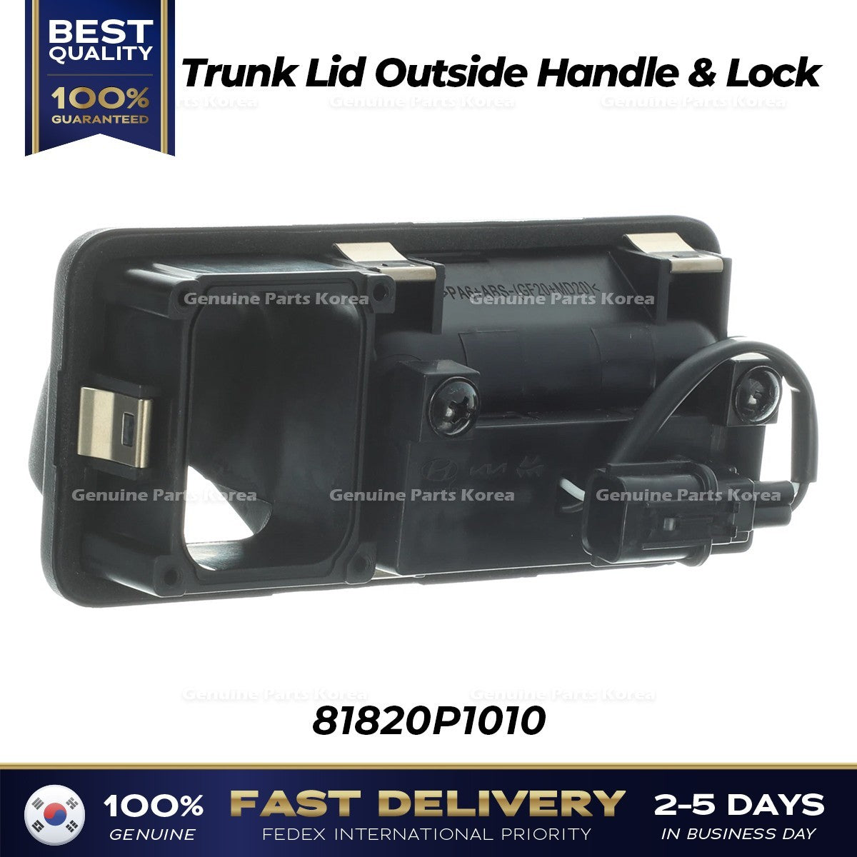 Genuine Trunk Lid Outside Handle & Lock 81820P1010 for Kia Sportage