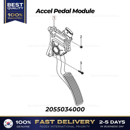 Genuine Accel Pedal Module 2055034000 for Ssangyong Korando C