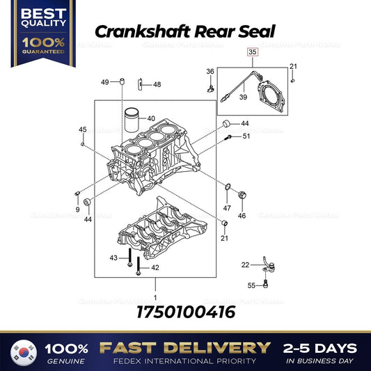 Genuine Crankshaft Rear Seal 1750100416 for Ssangyong Tivoli