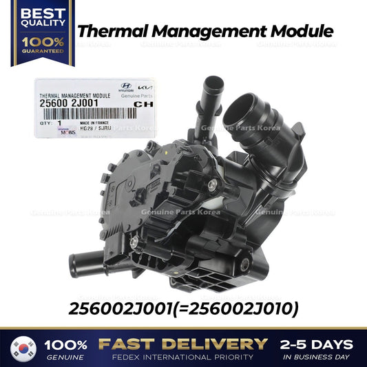 Genuine Thermal Management Module 256002J001 for Hyundai Sonata Hybrid