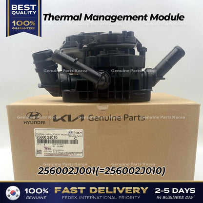 Genuine Thermal Management Module 256002J001 for Hyundai Sonata Hybrid
