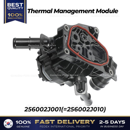 Genuine Thermal Management Module 256002J001 for Hyundai Sonata Hybrid