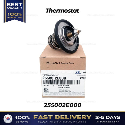 Genuine Thermostat 255002E000 for Hyundai Elantra Kia Forte