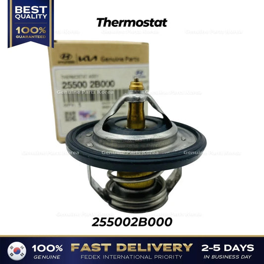 Genuine Thermostat 255002B000 for Hyundai Elantra Kona Kia Forte