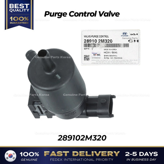 Genuine Purge Control Valve 289102M320 for Hyundai Elantra Kia Forte