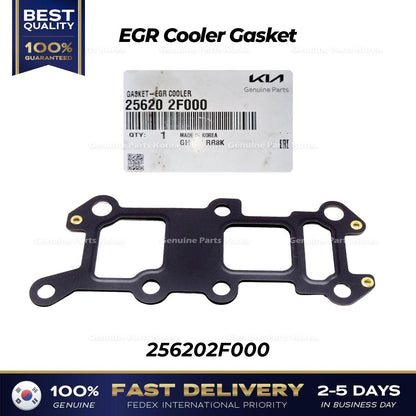 Genuine EGR Cooler Gasket 256202F000 for Hyundai Santa Fe Tucson Kia Sorento