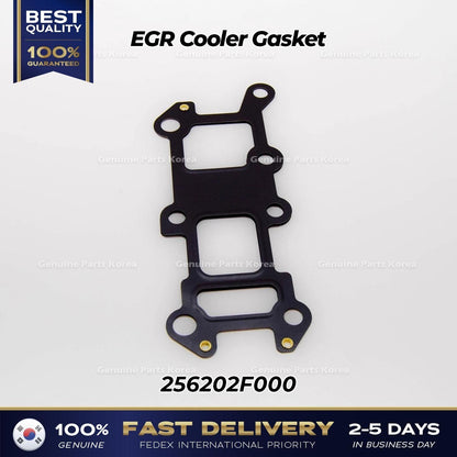 Genuine EGR Cooler Gasket 256202F000 for Hyundai Santa Fe Tucson Kia Sorento