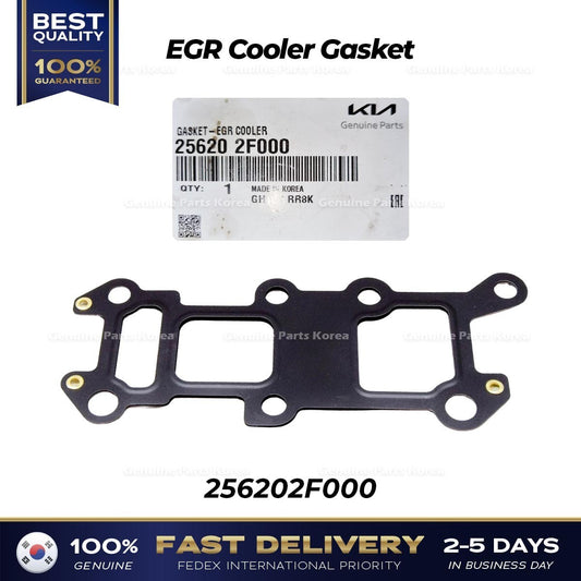 Genuine EGR Cooler Gasket 256202F000 for Hyundai Santa Fe Tucson Kia Sorento