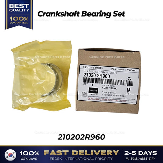 Genuine Crankshaft Bearing Set 210202R960 for Hyundai Santa Fe