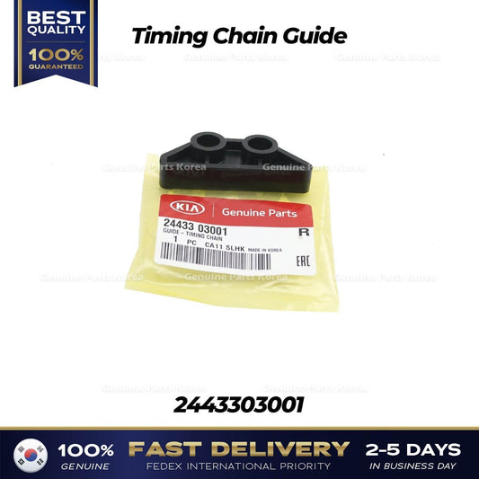 Genuine Timing Chain Guide 2443303001 for Kia Rio