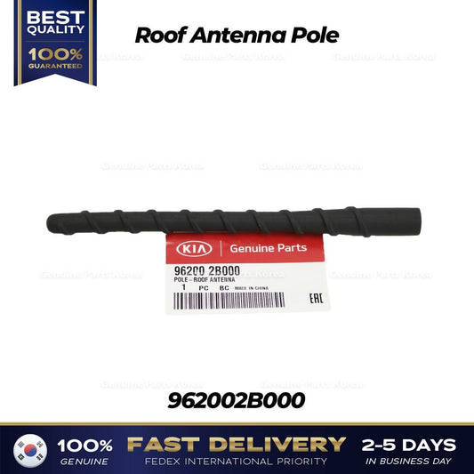Genuine Roof Antenna Pole 962002B000 for Kia Rondo