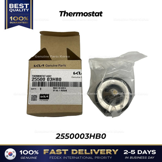 Genuine Thermostat 2550003HB0 for Hyundai Elantra Kia Niro