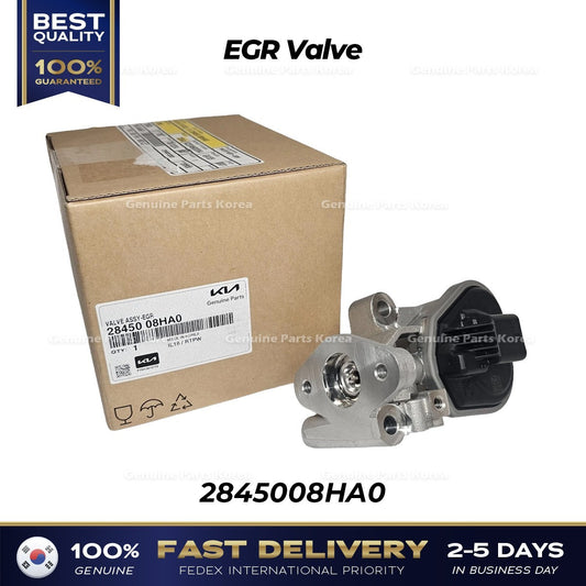 Genuine EGR Valve 2845008HA0 for Kia Niro