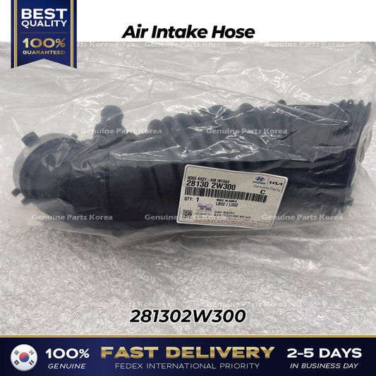Genuine Air Intake Hose 281302W300 for Hyundai Santa Fe Kia Sorento