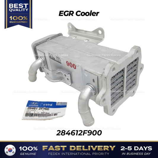 Genuine EGR Cooler 284612F900 for Hyundai Santa Fe Tucson Kia Sorento