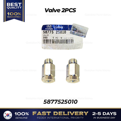 Genuine Valve 2PCS 5877525010 for Hyundai Accent Elantra