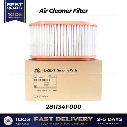 Genuine Air Cleaner Filter 281134F000 for Hyundai Porter II
