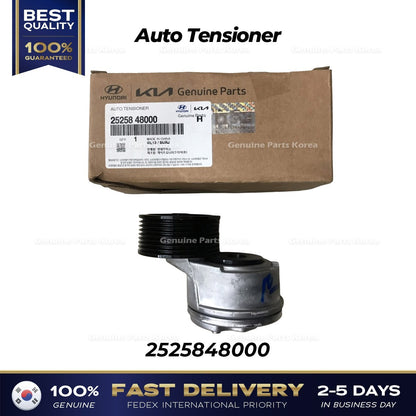Genuine Auto Tensioner 2525848000 for Hyundai Mighty