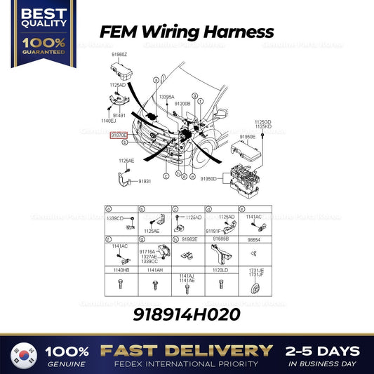 Genuine FEM Wiring Harness 918914H020 for Hyundai H1 Grand Starex