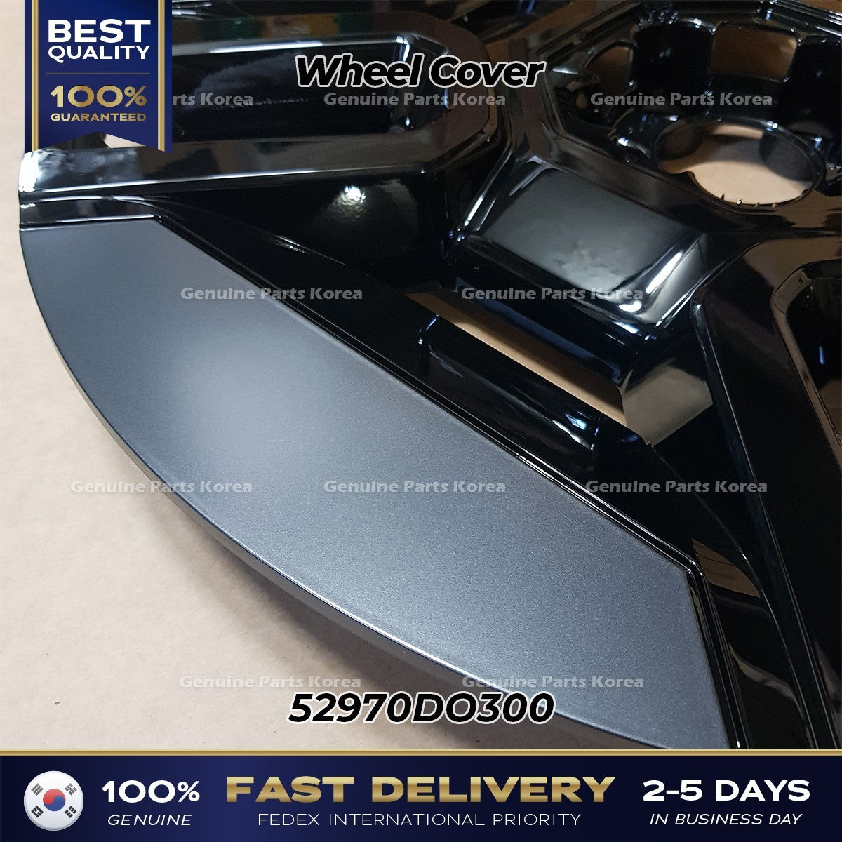 Genuine Wheel Cover 52970DO300 for Kia EV9