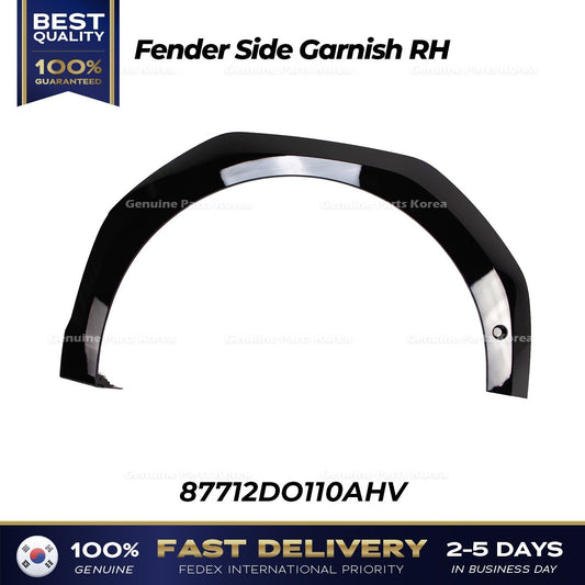 Genuine Fender Side Garnish RH 87712DO110AHV for Kia EV9