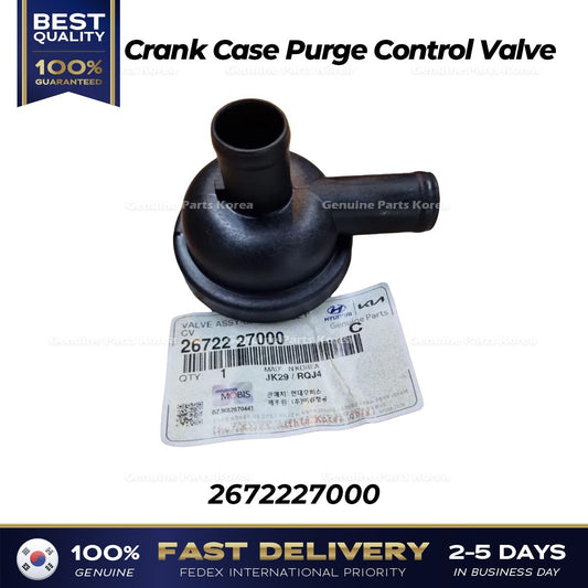 Genuine Crank Case Purge Control Valve 2672227000 for Hyundai Santa Fe Tucson