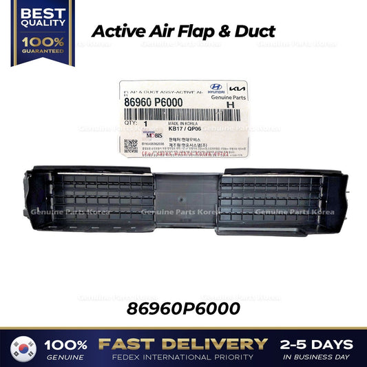 Genuine Active Air Flap & Duct 86960P6000 for Hyundai Santa Fe