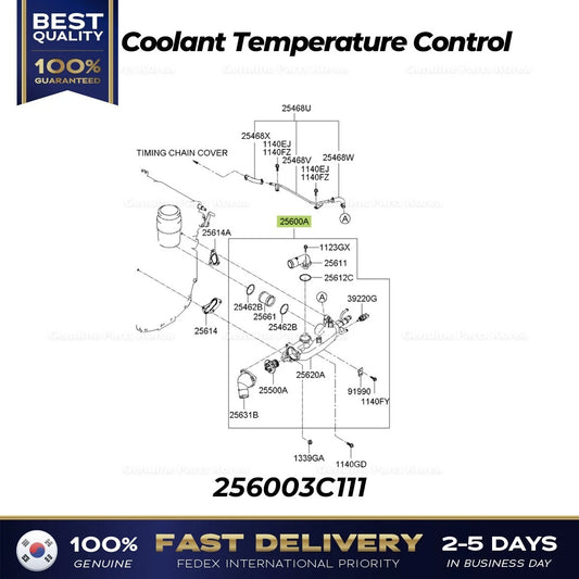 ⭐Genuine⭐ Coolant Temperature Control 256003C111 for Hyundai Azera Santa Fe