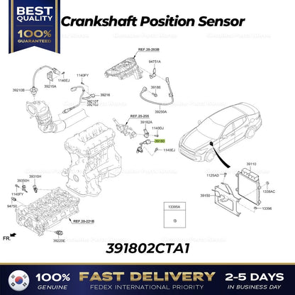 Genuine Crankshaft Position Sensor 391802CTA1 for Hyundai Genesis Kia