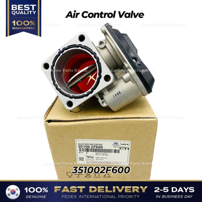 Genuine Air Control Valve 351002F600 for Hyundai Santa Fe Kia Sportage