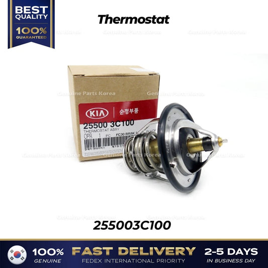 ⭐Genuine⭐ Thermostat 255003C100 for Hyundai Azera Kia Sorento