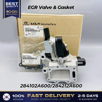 Genuine EGR Valve & Gasket 284102A600 for Hyundai Accent