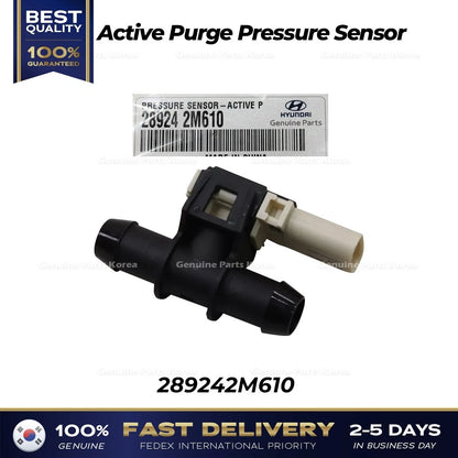 Genuine Active Purge Pressure Sensor 289242M610 for Hyundai Tucson