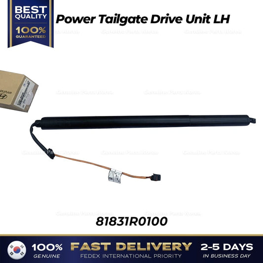 ⭐Genuine⭐ Power Tailgate Drive Unit LH 81831R0100 for Kia Carnival