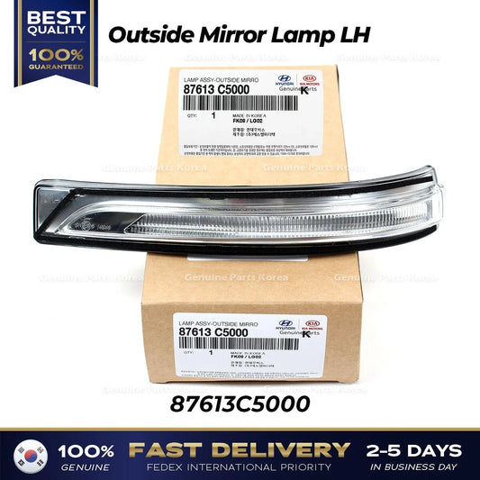 ⭐Genuine⭐ Outside Mirror Lamp LH 87613C5000 for Kia Sorento