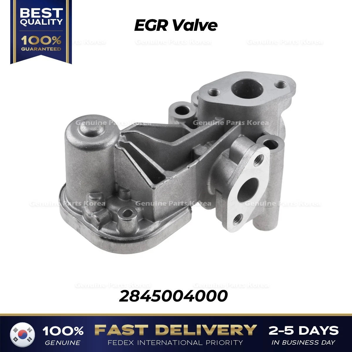 ⭐Genuine⭐ EGR Valve 2845004000 for Hyundai i10
