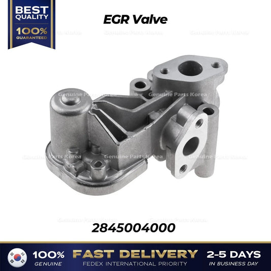 ⭐Genuine⭐ EGR Valve 2845004000 for Hyundai i10