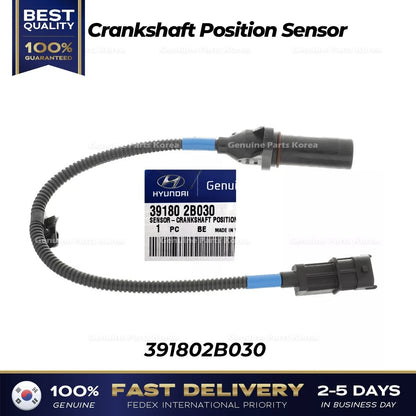 Genuine Crankshaft Position Sensor 391802B030 for Hyundai Elantra Kia Forte