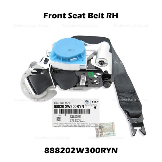 888202W300RYN