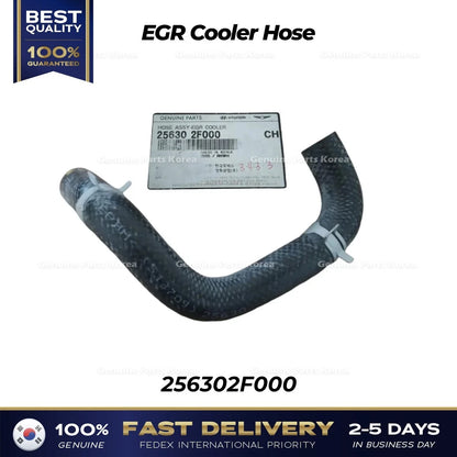 Genuine EGR Cooler Hose 256302F000 for Hyundai Santa Fe Kia Sorento