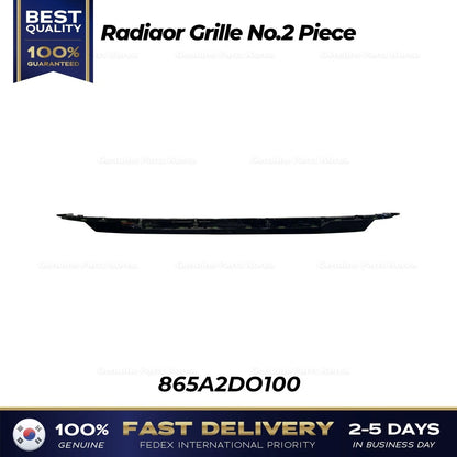Genuine Radiaor Grille No.2 Piece 865A2DO100 for Kia EV9