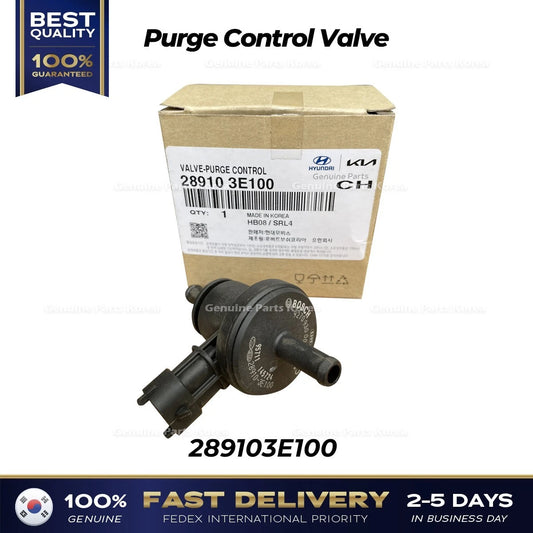 ⭐Genuine⭐ Purge Control Valve 289103E100 for Hyundai Santa Fe Kia Optima