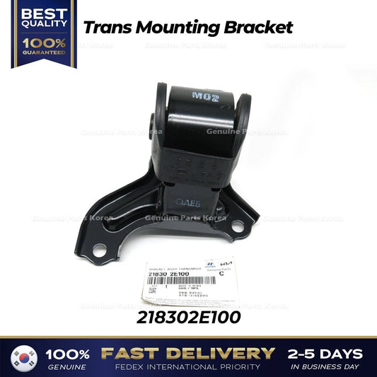⭐Genuine⭐ Transmission Mounting Bracket 218302E100 for Hyundai Tucson