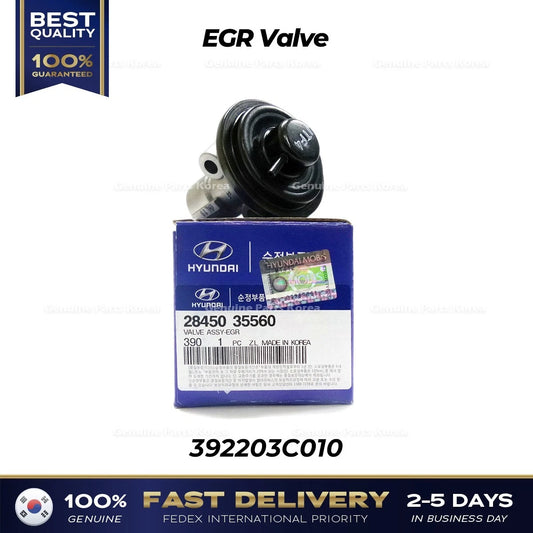⭐Genuine⭐ EGR Valve 2845035560 for Hyundai Santa Fe Kia Amanti